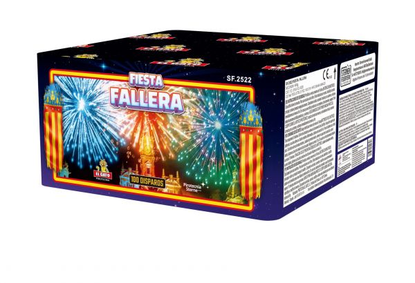 Profi-Feuerwerk,Batteriefeuerwerk, Sivesterfeuerwerk